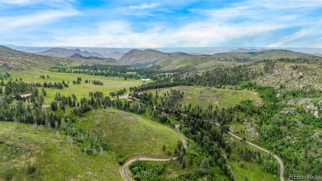 15481 Rist Canyon Rd, Bellvue, CO 80512 - photo 46