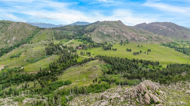 15481 Rist Canyon Rd, Bellvue, CO 80512 - photo 47