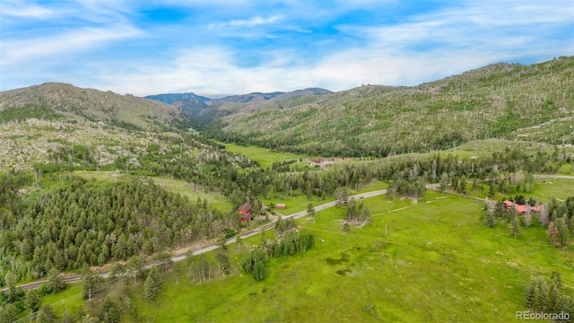 15481 Rist Canyon Rd, Bellvue, CO 80512 - photo 48