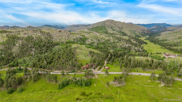 15481 Rist Canyon Rd, Bellvue, CO 80512 - photo 49