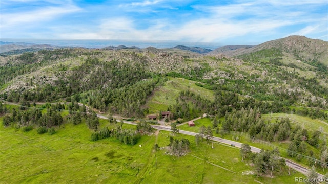 15481 Rist Canyon Rd, Bellvue, CO 80512 - photo 50