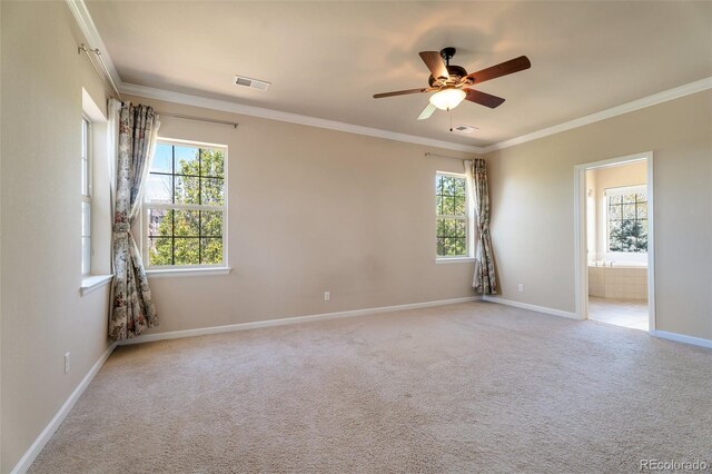 13699 Pecos Loop, Broomfield, CO 80023 - photo 15