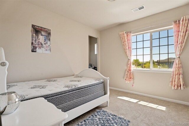 13699 Pecos Loop, Broomfield, CO 80023 - photo 22