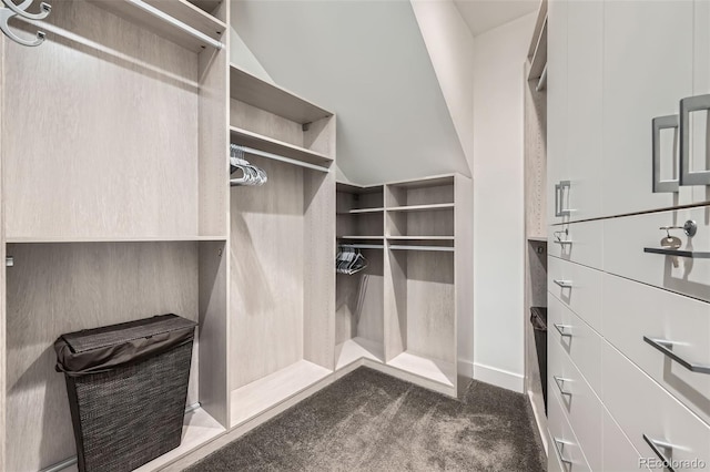 427 Milwaukee St, Denver, CO 80206 - spacious closet featuring dark colored carpet