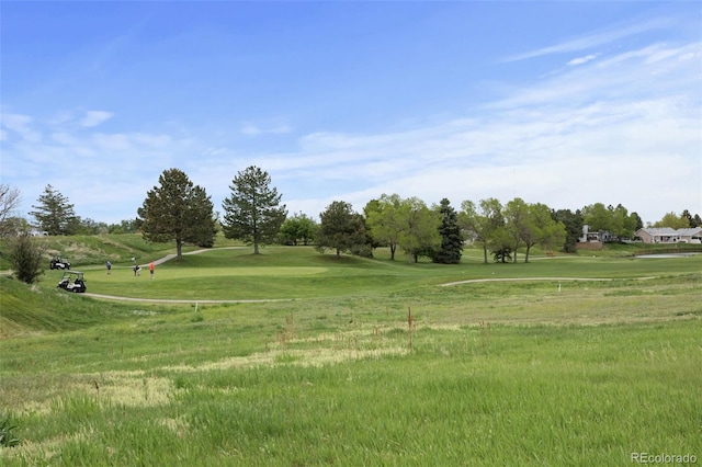 view of community with a lawn