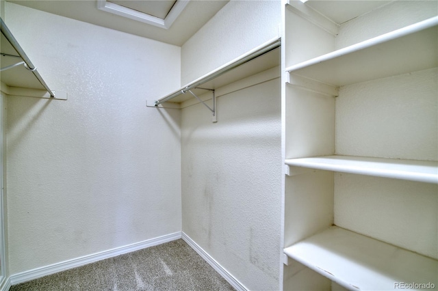 930 Button Rock Dr Unit 29, Longmont, CO 80504 - walk in closet featuring carpet