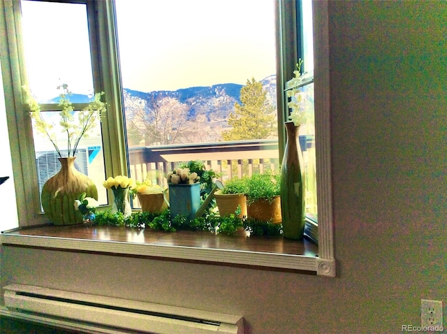 details featuring a baseboard radiator and a mountain view