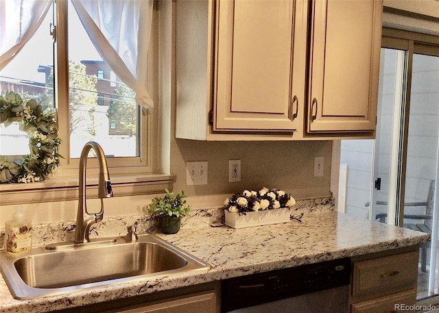 kitchen featuring a sink and dishwashing machine