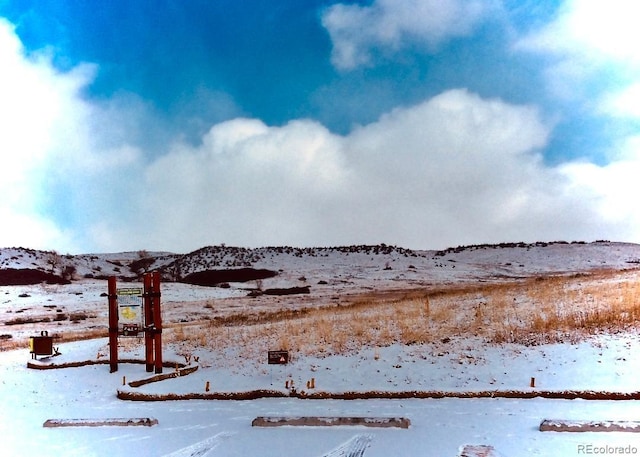 view of yard covered in snow