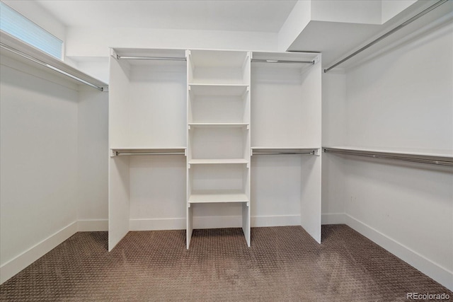 spacious closet with carpet flooring