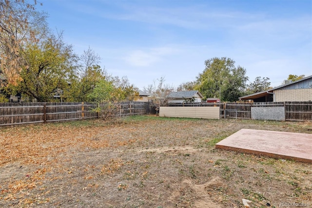 view of yard featuring a patio area