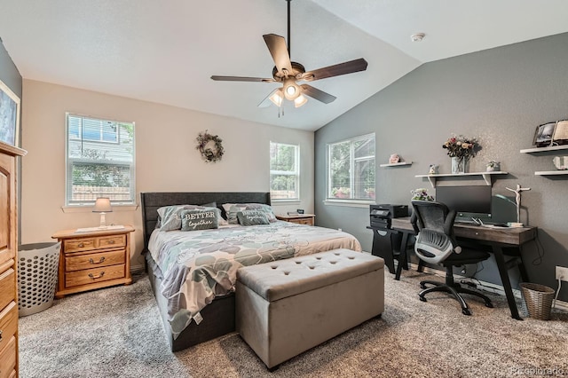 6791 E 129th Ave, Thornton, CO 80602 - photo 16