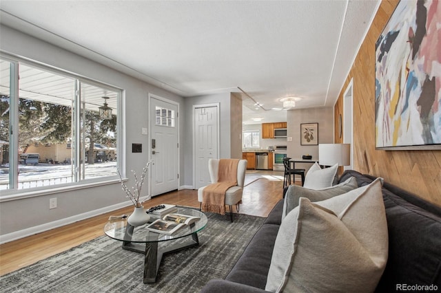 living room with wooden walls, hardwood / wood-style floors, and a healthy amount of sunlight