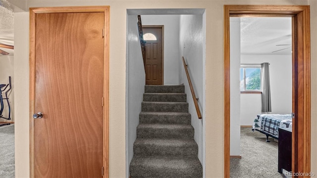 2600 Ridge Rd, Delta, CO 81416 - photo 18