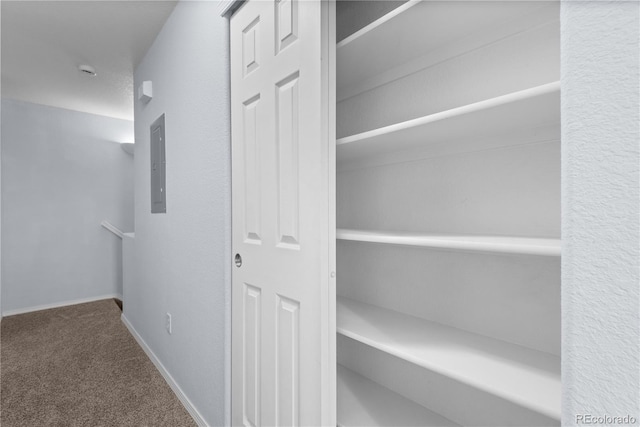 12711 Colorado Blvd Unit 1116, Thornton, CO 80241 - closet featuring electric panel