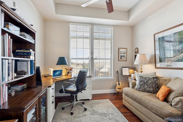 home office with a tray ceiling, dark hardwood / wood-style floors, and a healthy amount of sunlight