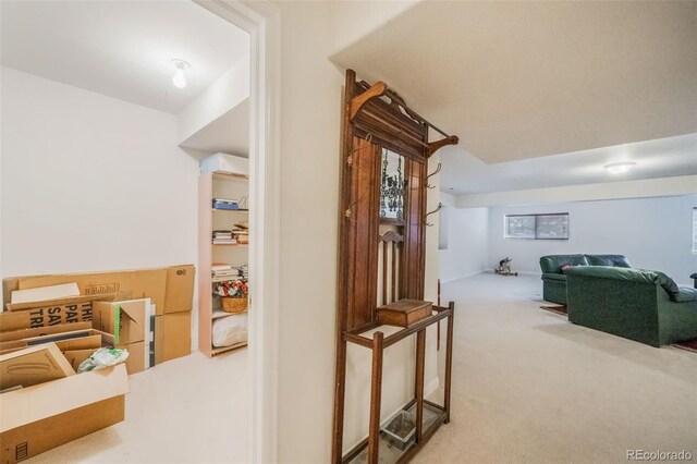 corridor with carpet floors