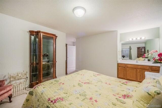 carpeted bedroom with a textured ceiling and sink