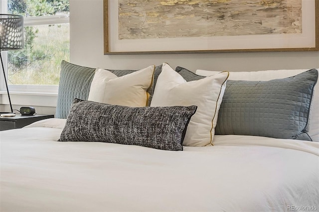 518 Conifer Dr, Bailey, CO 80421 - view of bedroom