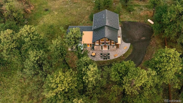 518 Conifer Dr, Bailey, CO 80421 - view of property location