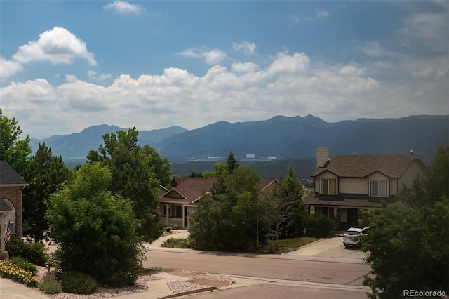 107 Pistol Creek Dr, Monument, CO 80132 - photo 49