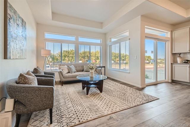 4403 Picadilly Ct, Aurora, CO 80019 - living area with wood finished floors and a tray ceiling