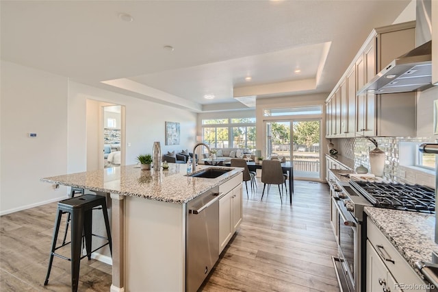 4403 Picadilly Ct, Aurora, CO 80019 - kitchen with stainless steel appliances, wall chimney range hood, a tray ceiling, light wood-style flooring, and an island with sink