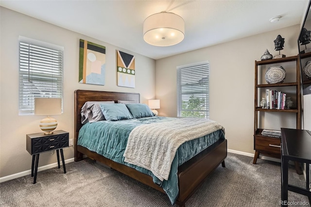 1519 S Dayton St, Denver, CO 80247 - bedroom with baseboards and carpet flooring