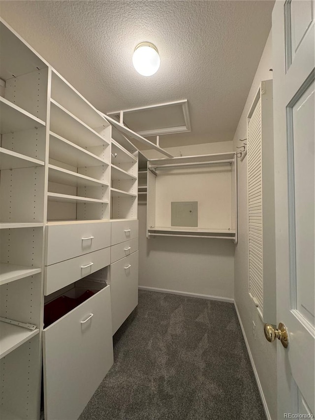 spacious closet featuring dark carpet