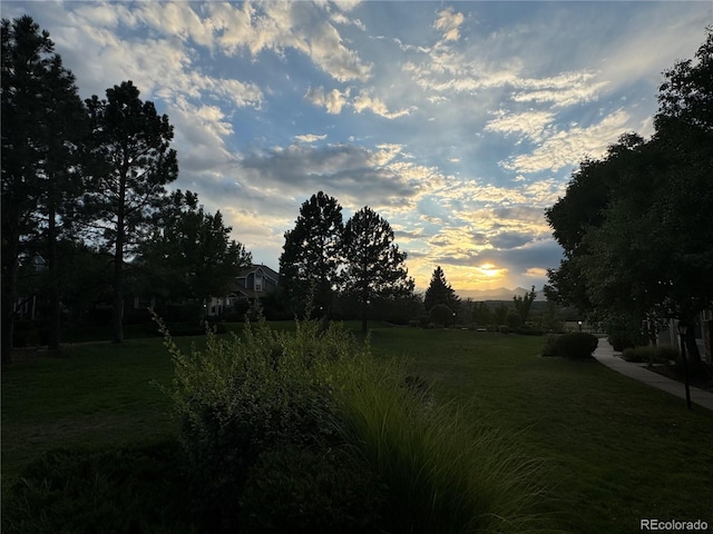 view of yard at dusk