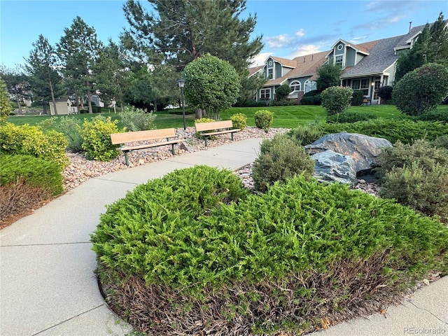 view of home's community featuring a yard