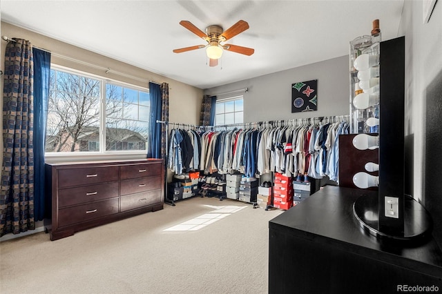 walk in closet featuring carpet and a ceiling fan
