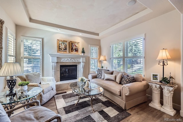 living room with wood finished floors, a tray ceiling, and a fireplace