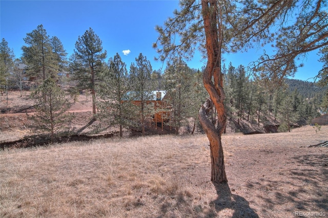 11845 S Stallion Dr, Pine, CO 80470 - photo 48