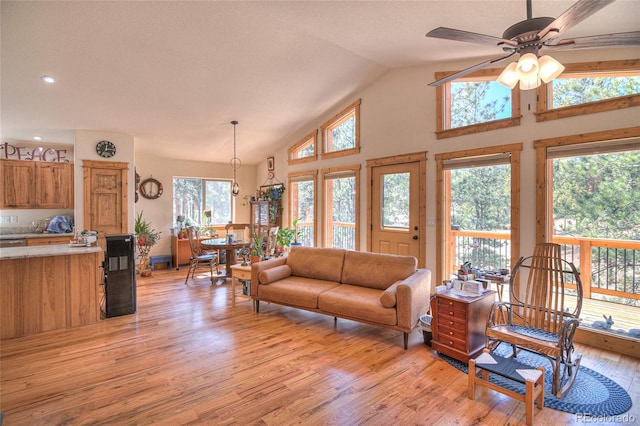 11845 S Stallion Dr, Pine, CO 80470 - photo 3
