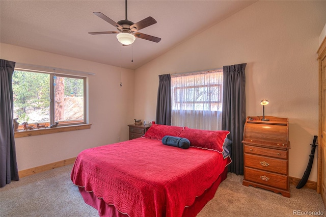 11845 S Stallion Dr, Pine, CO 80470 - photo 19