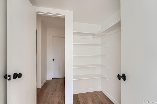 walk in closet with wood finished floors