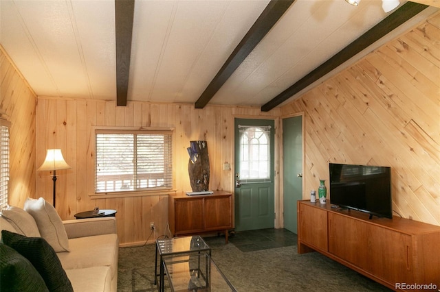 671 Loveland Rd, South Fork, CO 81154 - photo 9
