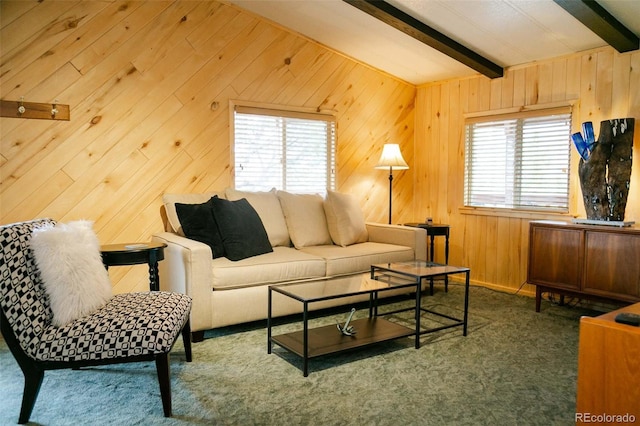 671 Loveland Rd, South Fork, CO 81154 - photo 15