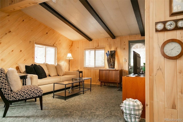 671 Loveland Rd, South Fork, CO 81154 - photo 16