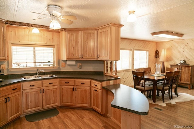 671 Loveland Rd, South Fork, CO 81154 - photo 29