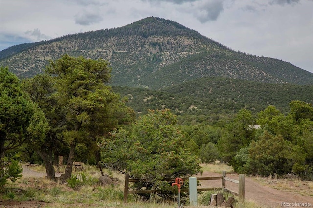 671 Loveland Rd, South Fork, CO 81154 - photo 45