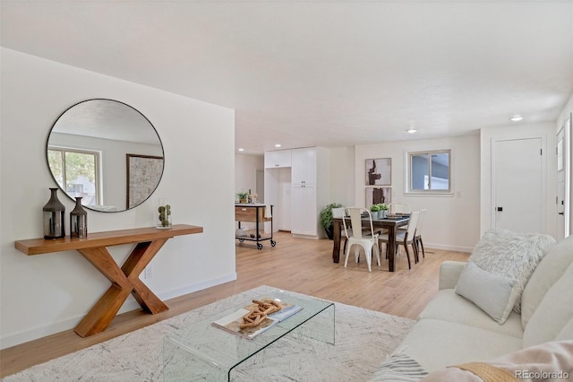 living room with light hardwood / wood-style flooring