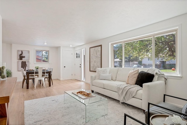 living room with light hardwood / wood-style floors and a wealth of natural light