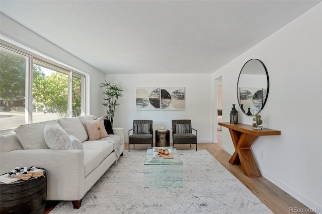 living room with light hardwood / wood-style flooring