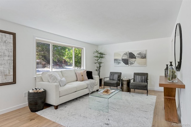 living room featuring hardwood / wood-style flooring