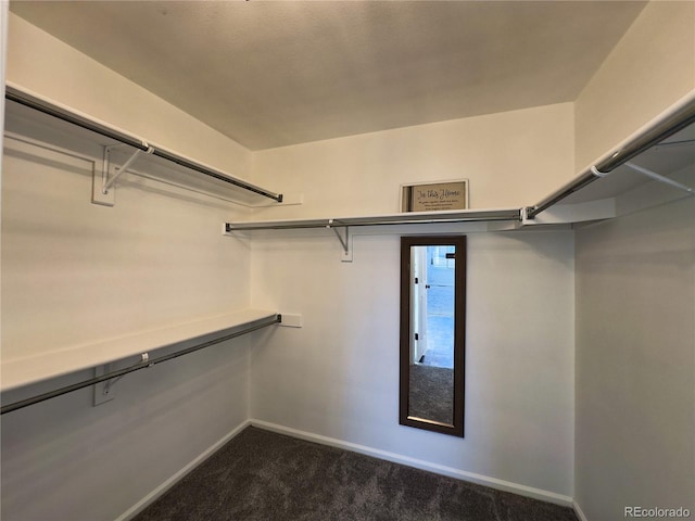 spacious closet with dark carpet