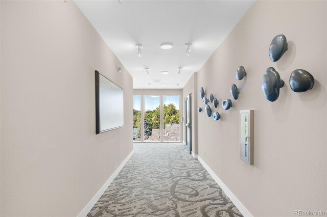 hall featuring light colored carpet