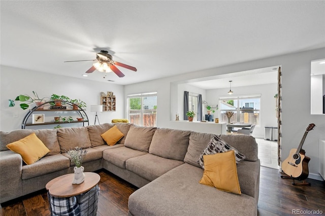 7868 Downing St, Denver, CO 80229 - living room with healthy amount of natural light, ceiling fan, and dark wood-type flooring