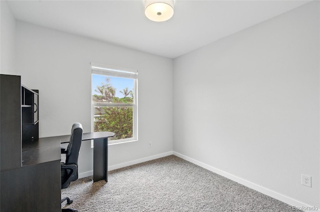 7868 Downing St, Denver, CO 80229 - unfurnished office featuring baseboards and carpet floors